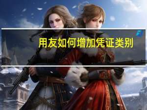 用友如何增加凭证类别