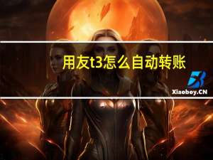 用友t3怎么自动转账