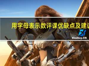 用字母表示数评课优缺点及建议