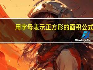 用字母表示正方形的面积公式：________．
