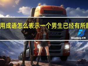 用成语怎么表示一个男生已经有所属对象