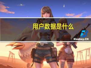 用户数据是什么