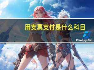 用支票支付是什么科目