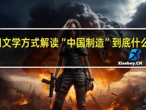 用文学方式解读“中国制造” 到底什么情况嘞