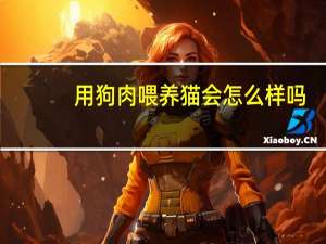 用狗肉喂养猫会怎么样吗