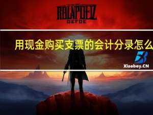 用现金购买支票的会计分录怎么做