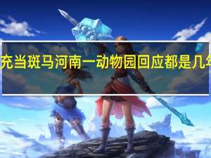 用驴充当斑马河南一动物园回应 都是几年前的视频