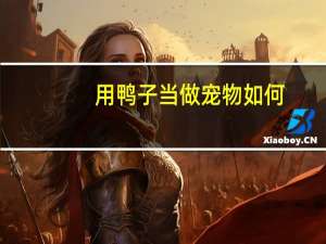 用鸭子当做宠物如何