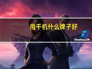 甩干机什么牌子好