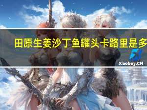 田原 生姜沙丁鱼罐头卡路里是多少