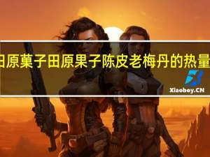 田原菓子 田原果子 陈皮老梅丹的热量是多少