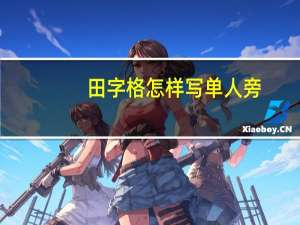 田字格怎样写单人旁