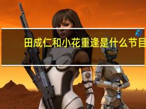 田成仁和小花重逢是什么节目