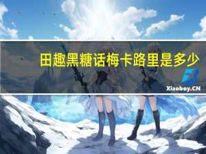 田趣 黑糖话梅卡路里是多少
