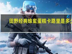 田野 经典蜂蜜蛋糕卡路里是多少