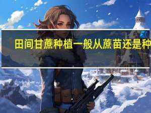 田间甘蔗种植一般从蔗苗还是种子