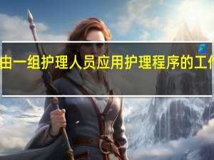 由一组护理人员应用护理程序的工作方法