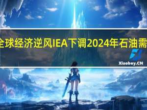 由于全球经济逆风IEA下调2024年石油需求增长预期