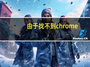 由于找不到chrome_elf。dll