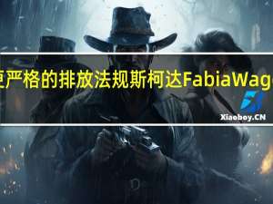 由于更严格的排放法规斯柯达Fabia Wagon正式停产