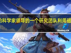 由苏州大学的科学家领导的一个研究团队利用磁流体制成的机器人