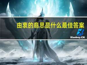 由衷的意思是什么最佳答案（由衷的意思）