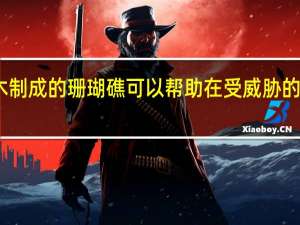 由被砍伐的树木制成的珊瑚礁可以帮助在受威胁的水域中恢复海洋生物