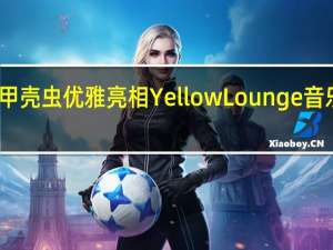 甲壳虫优雅亮相Yellow Lounge音乐现场