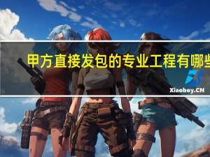 甲方直接发包的专业工程有哪些