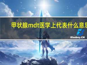 甲状腺mdt医学上代表什么意思（mdt医学上代表什么意思）