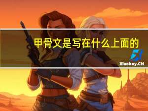 甲骨文是写在什么上面的