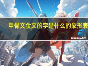 甲骨文金文的字是什么的象形表达