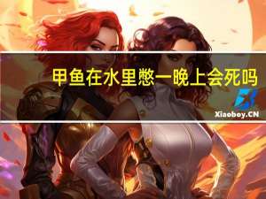 甲鱼在水里憋一晚上会死吗