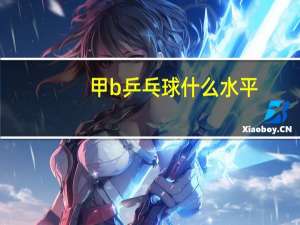 甲b乒乓球什么水平