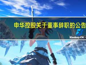 申华控股关于董事辞职的公告