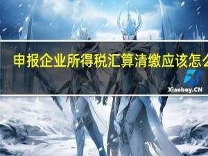 申报企业所得税汇算清缴应该怎么做