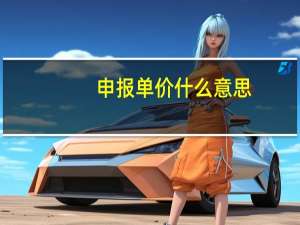 申报单价什么意思