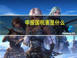 申报国税表是什么