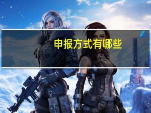 申报方式有哪些
