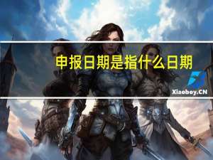 申报日期是指什么日期