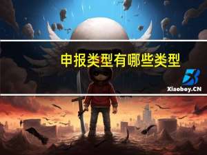 申报类型有哪些类型