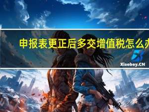 申报表更正后多交增值税怎么办