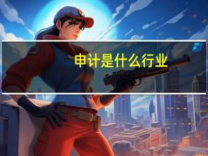 申计是什么行业