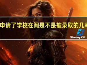 申请了学校在阅是不是被录取的几率很大
