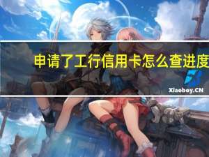 申请了工行信用卡怎么查进度（如何查询工商银行信用卡的申请进度）