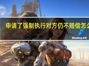 申请了强制执行对方仍不赔偿怎么办