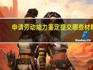 申请劳动能力鉴定提交哪些材料