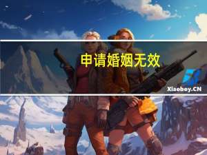 申请婚姻无效