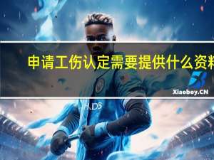 申请工伤认定需要提供什么资料