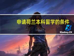 申请荷兰本科留学的条件